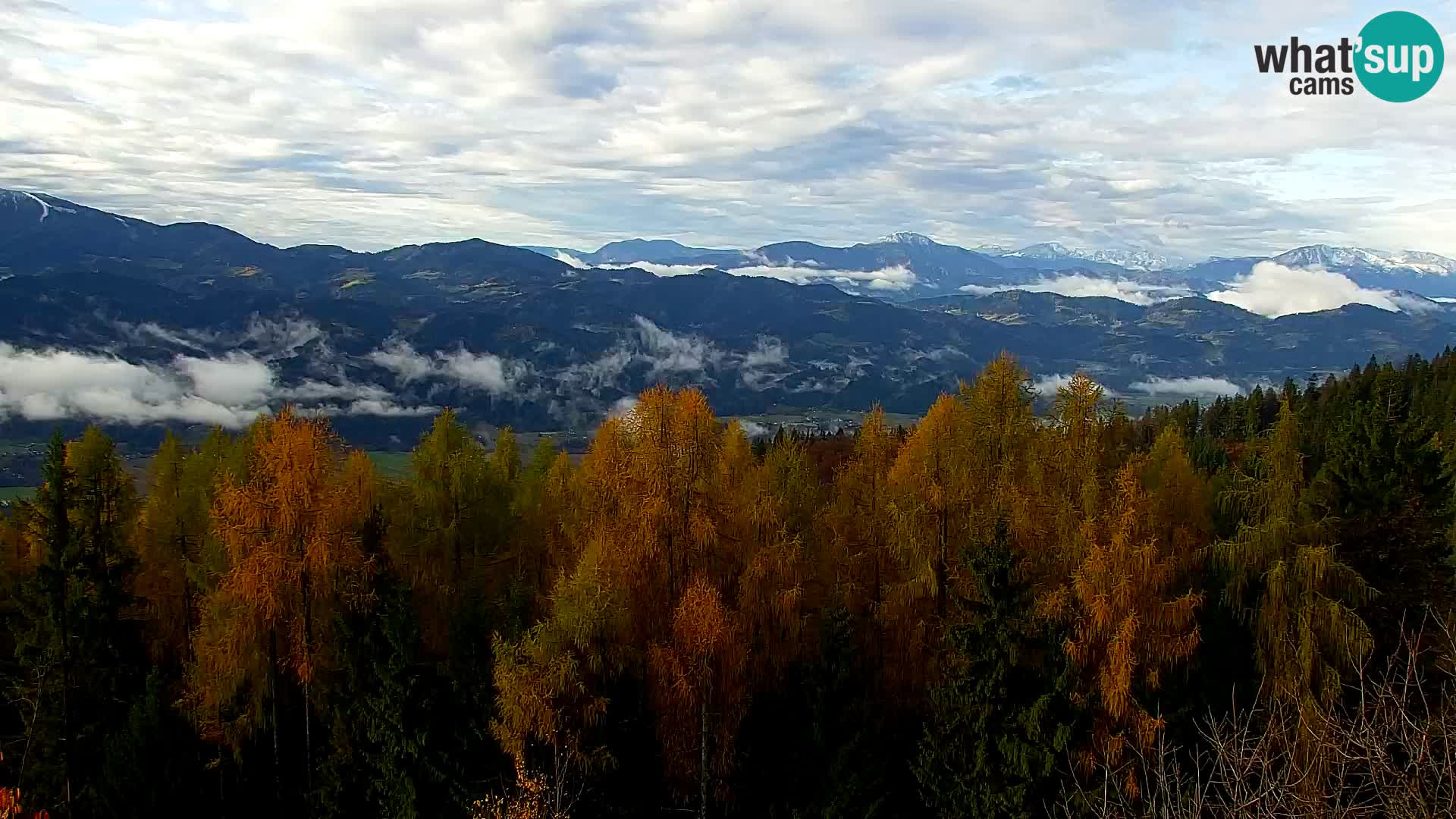 Spletna kamera Kapunar – Radlje ob Dravi