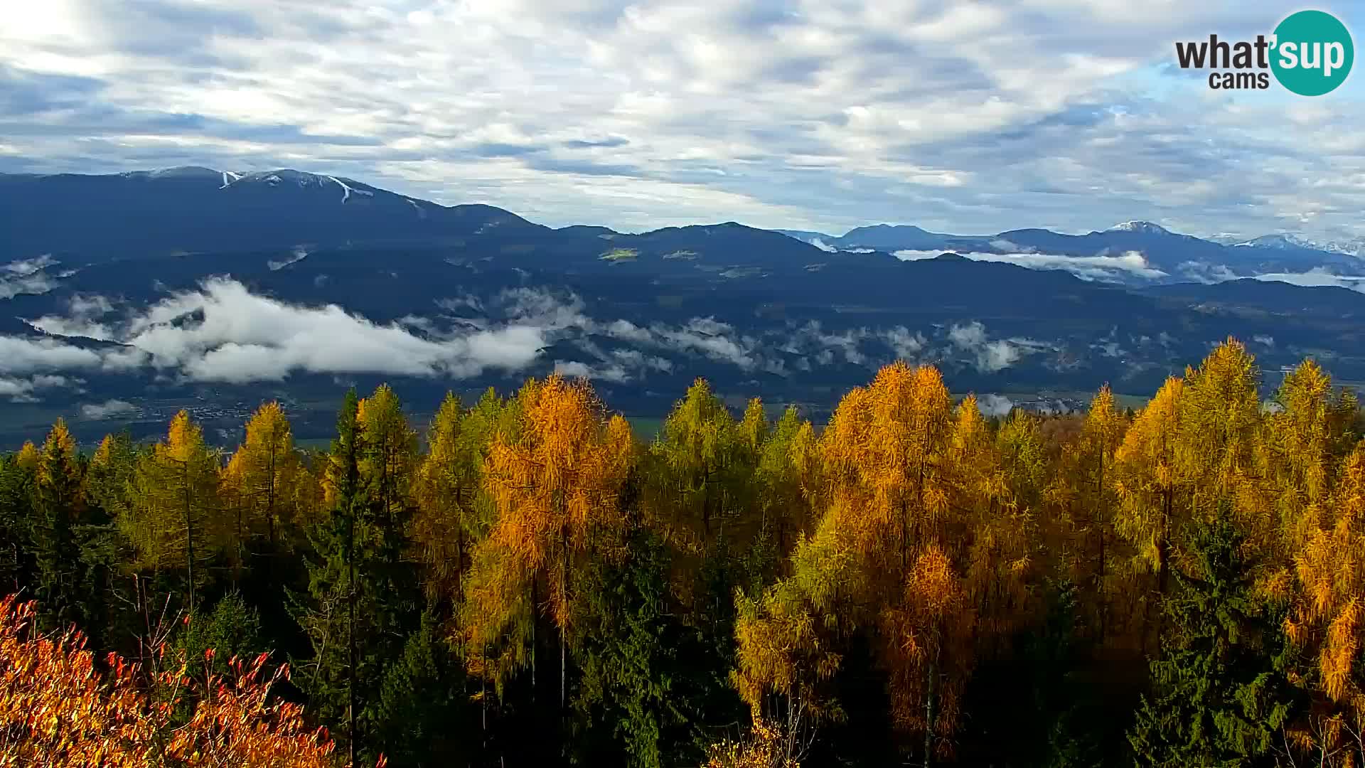 Spletna kamera Kapunar – Radlje ob Dravi