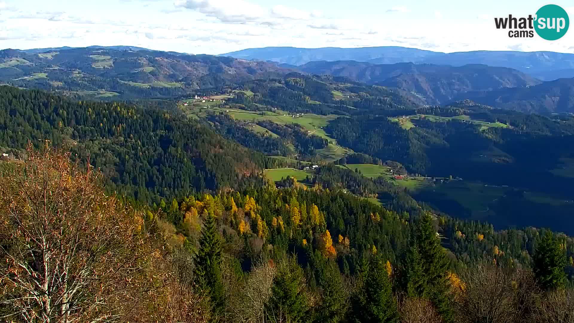 Kapunar Web kamera – Radlje ob Dravi