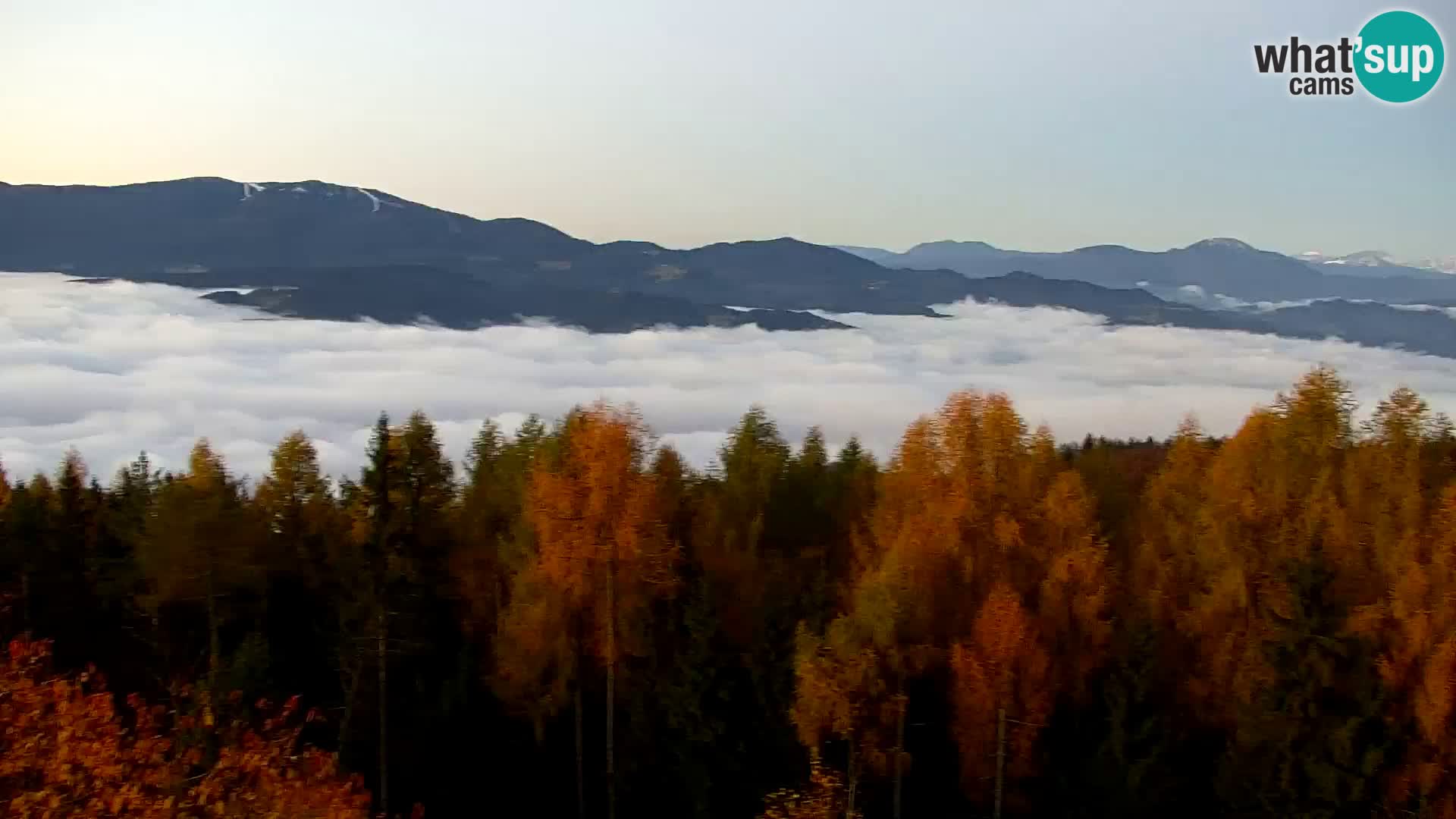 Spletna kamera Kapunar – Radlje ob Dravi