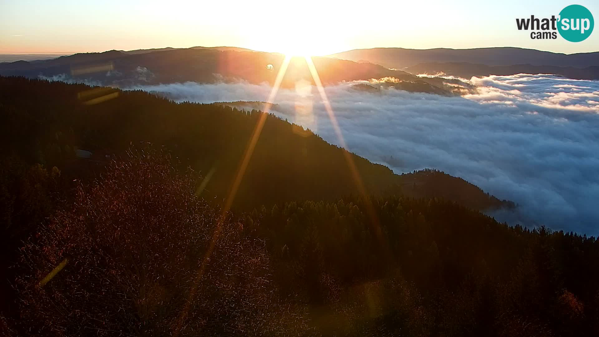 Kapunar Webcam – Radlje ob Dravi