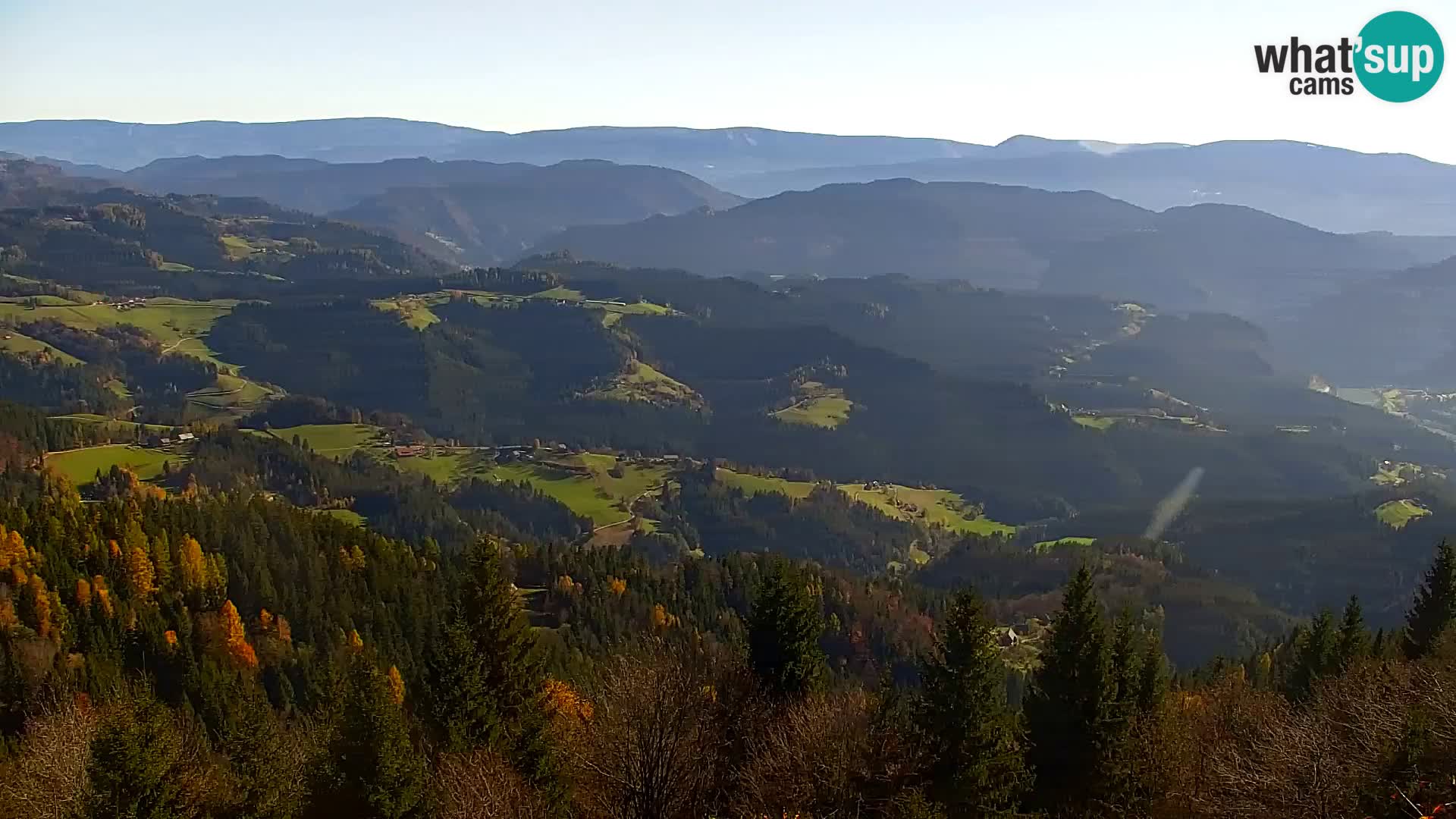 Spletna kamera Kapunar – Radlje ob Dravi