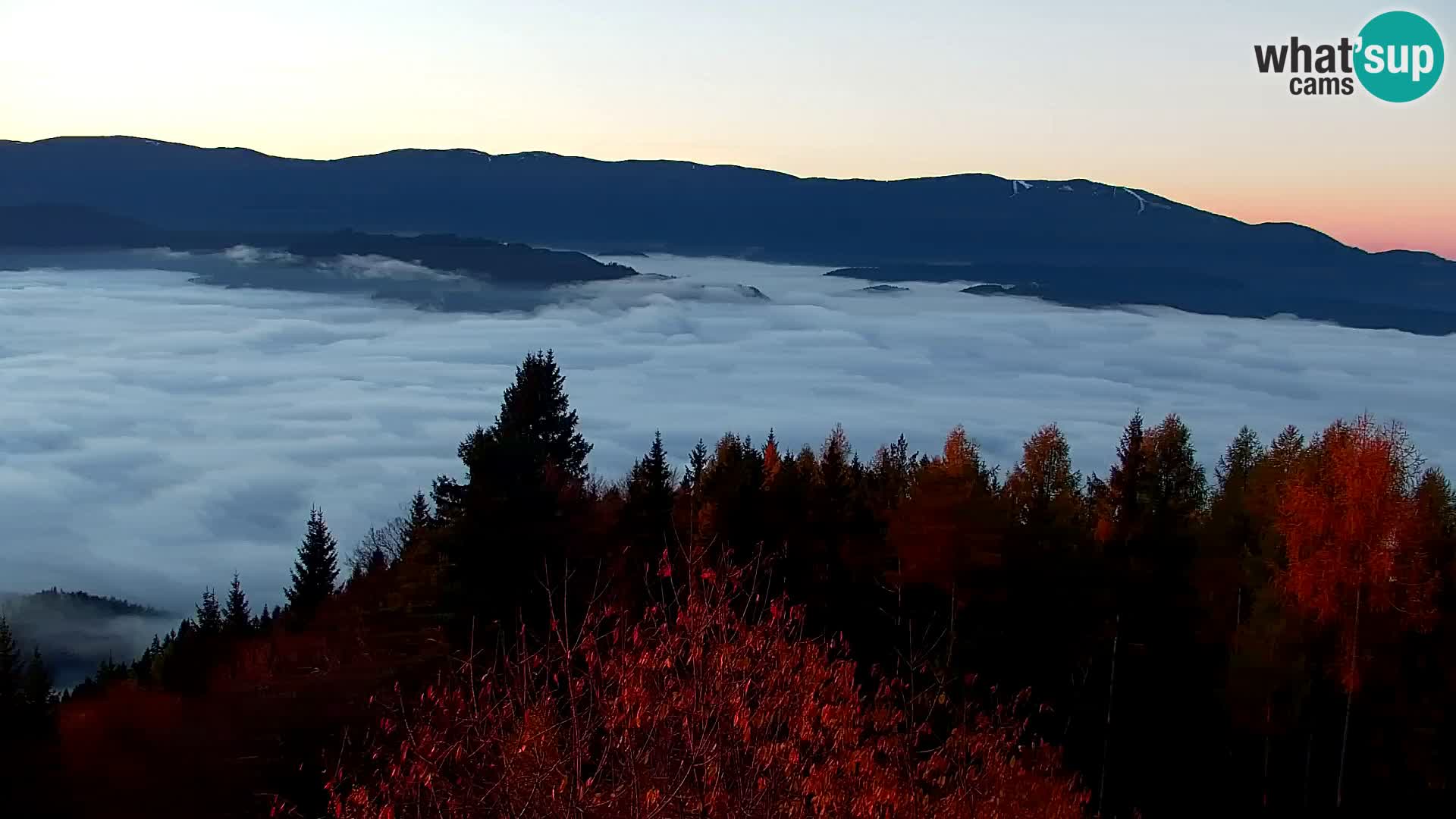 Live cam Kapunar – Radlje ob Dravi