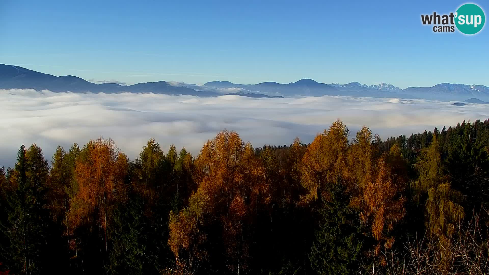 Webcam Kapunar – Radlje ob Dravi