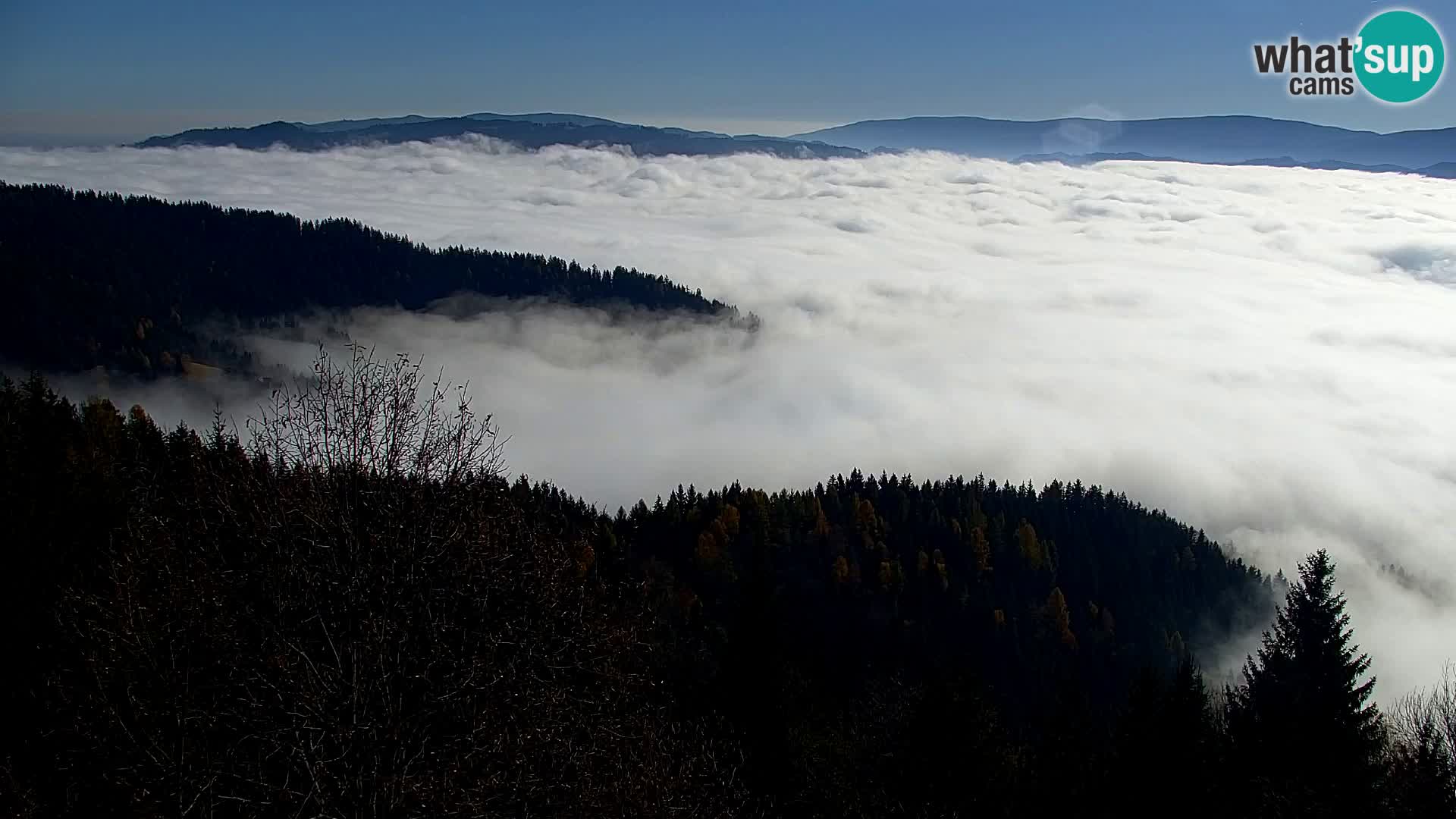 Live cam Kapunar – Radlje ob Dravi