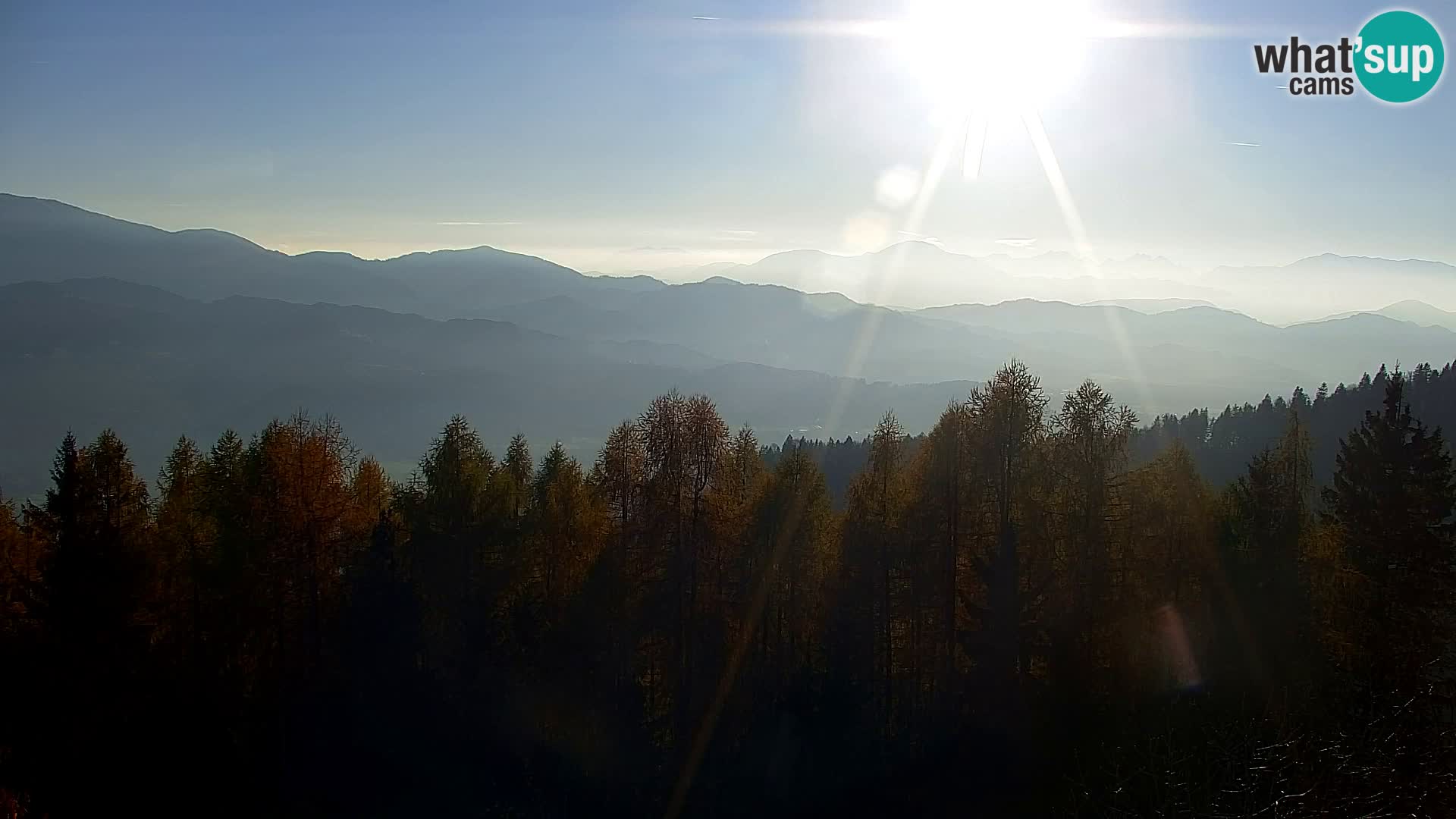 Kapunar Webcam – Radlje ob Dravi