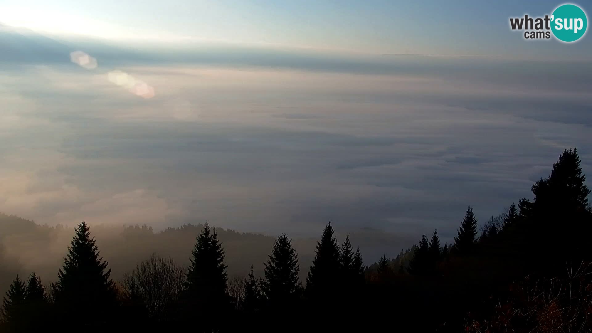 Kapunar Webcam – Radlje ob Dravi