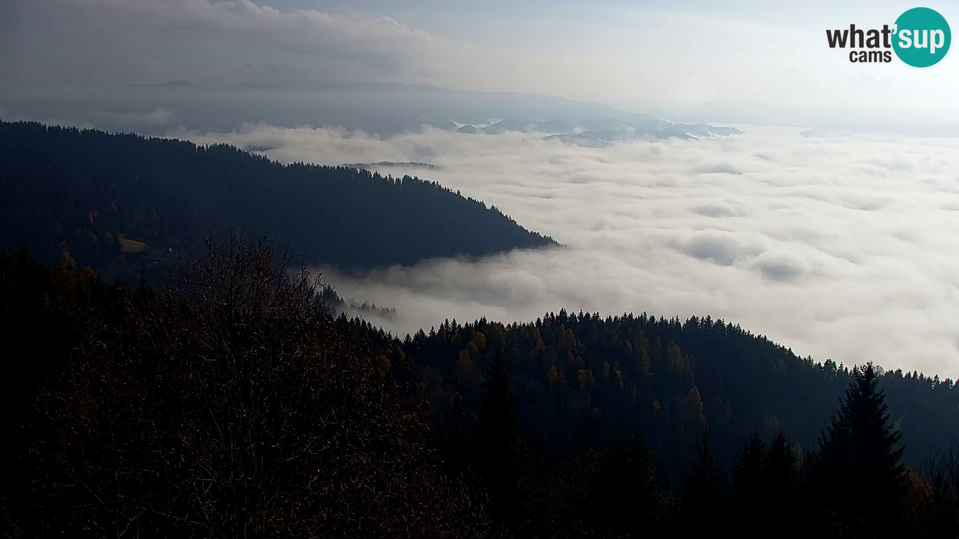 Kapunar Webcam – Radlje ob Dravi