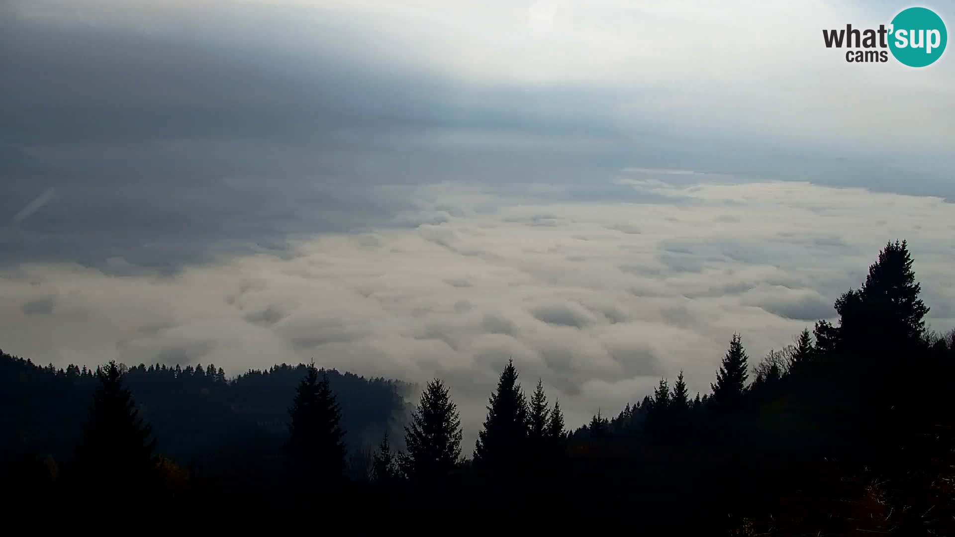 Live cam Kapunar – Radlje ob Dravi