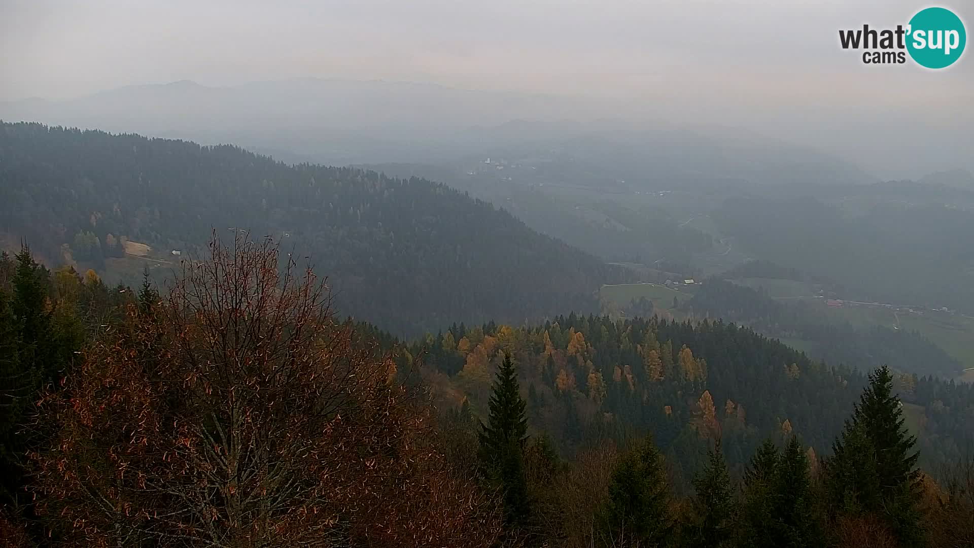 Webcam Kapunar – Radlje ob Dravi