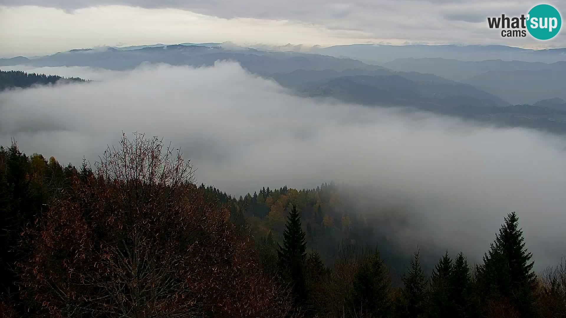 Live cam Kapunar – Radlje ob Dravi