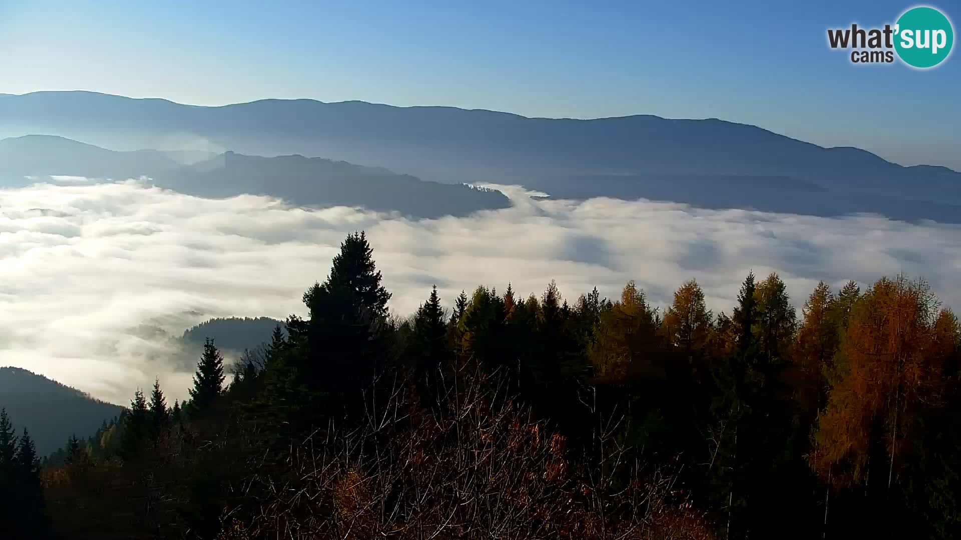 Webcam Kapunar – Radlje ob Dravi