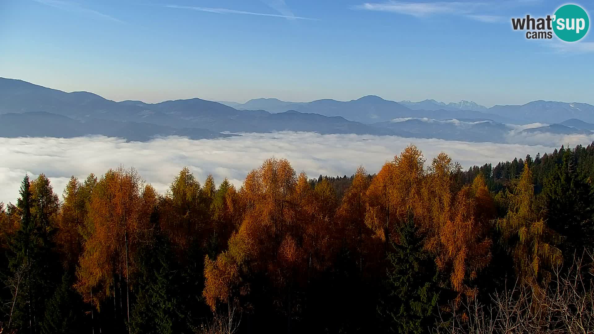 Kapunar Webcam – Radlje ob Dravi