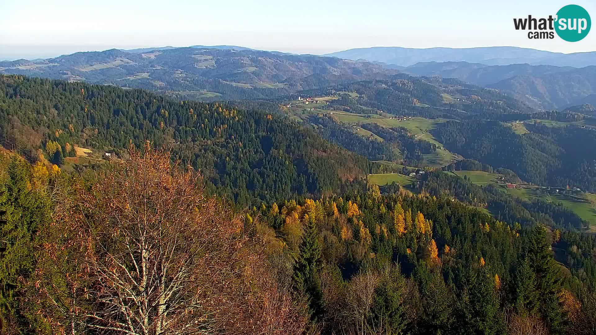 Webcam Kapunar – Radlje ob Dravi