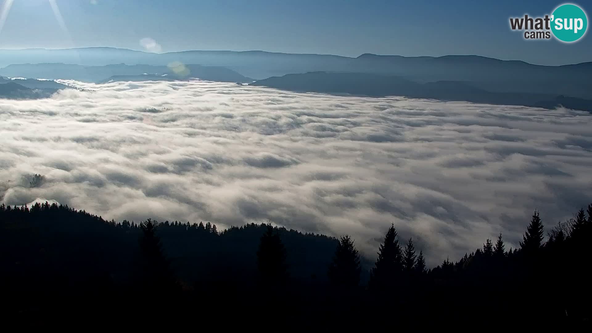 Webcam Kapunar – Radlje ob Dravi