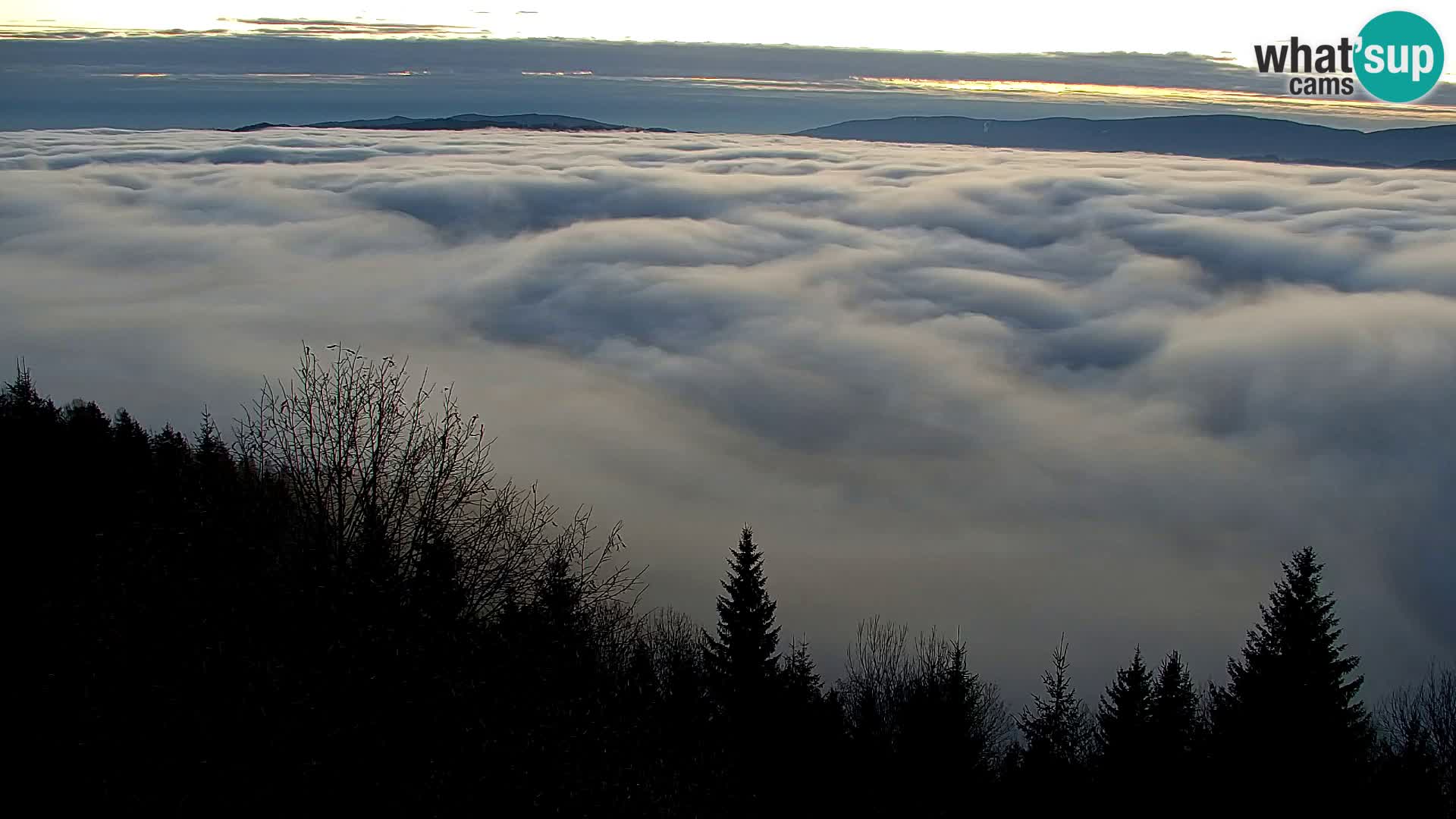Spletna kamera Kapunar – Radlje ob Dravi