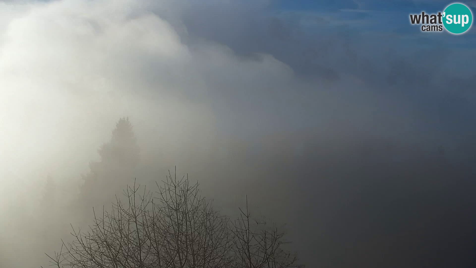 Webcam Kapunar – Radlje ob Dravi