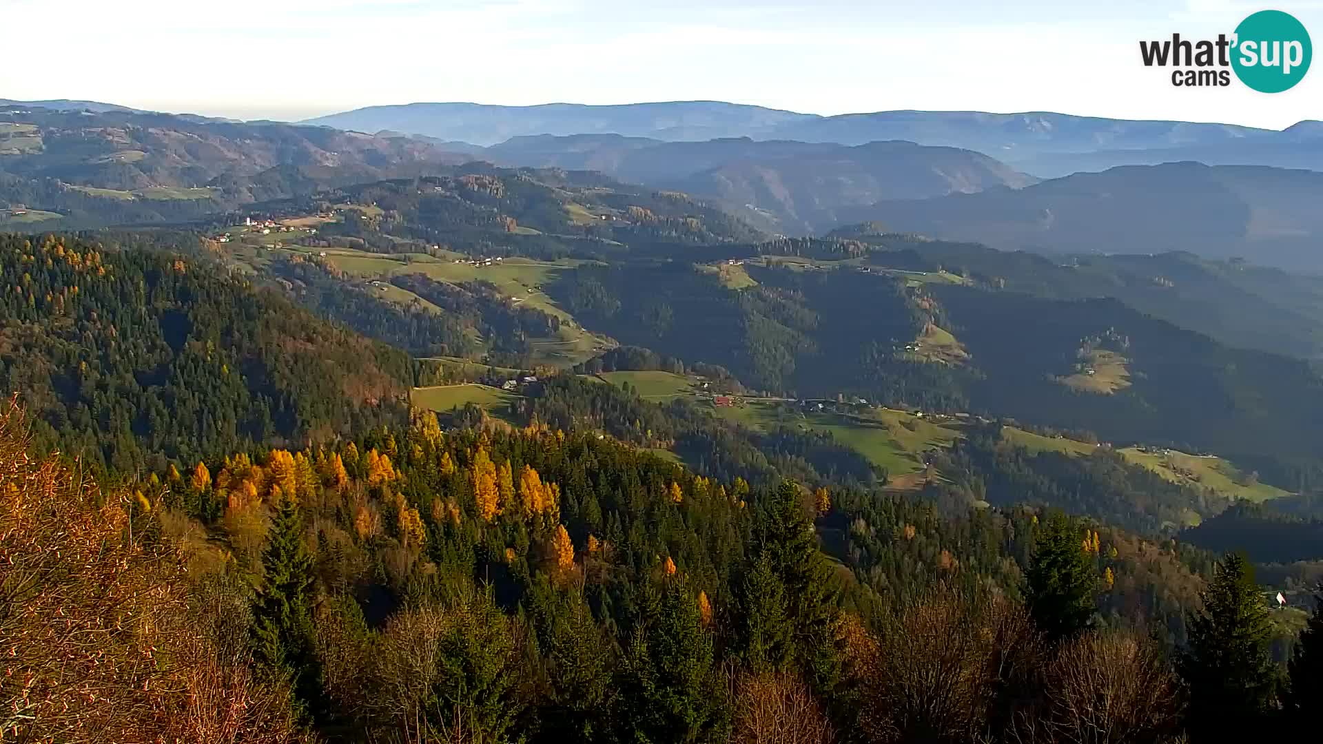 Spletna kamera Kapunar – Radlje ob Dravi