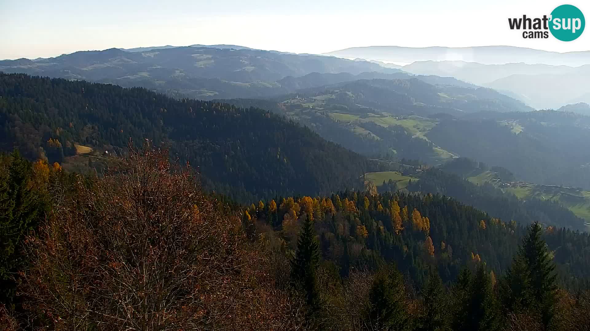 Webcam Kapunar – Radlje ob Dravi