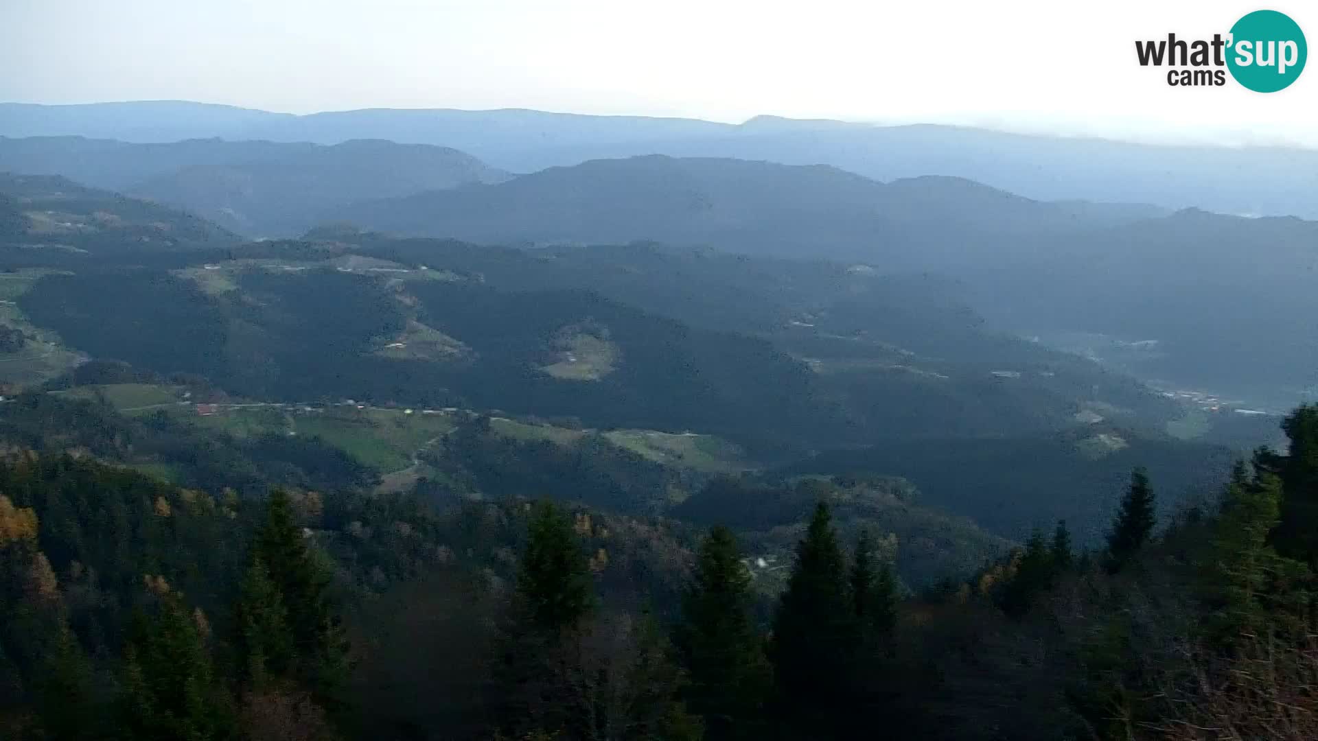 Kapunar Web kamera – Radlje ob Dravi