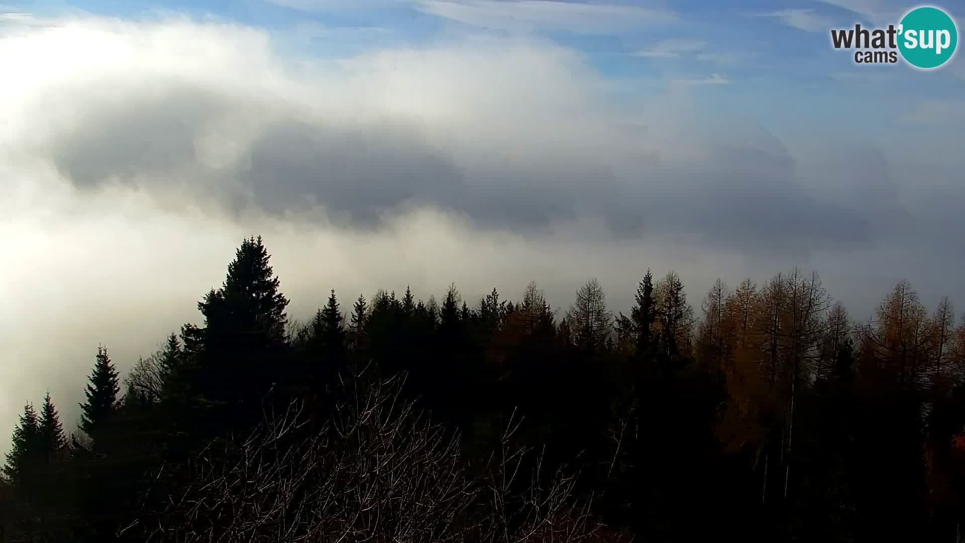 Webcam Kapunar – Radlje ob Dravi