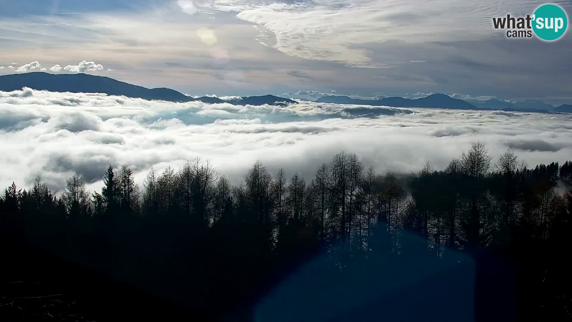 Webcam Kapunar – Radlje ob Dravi