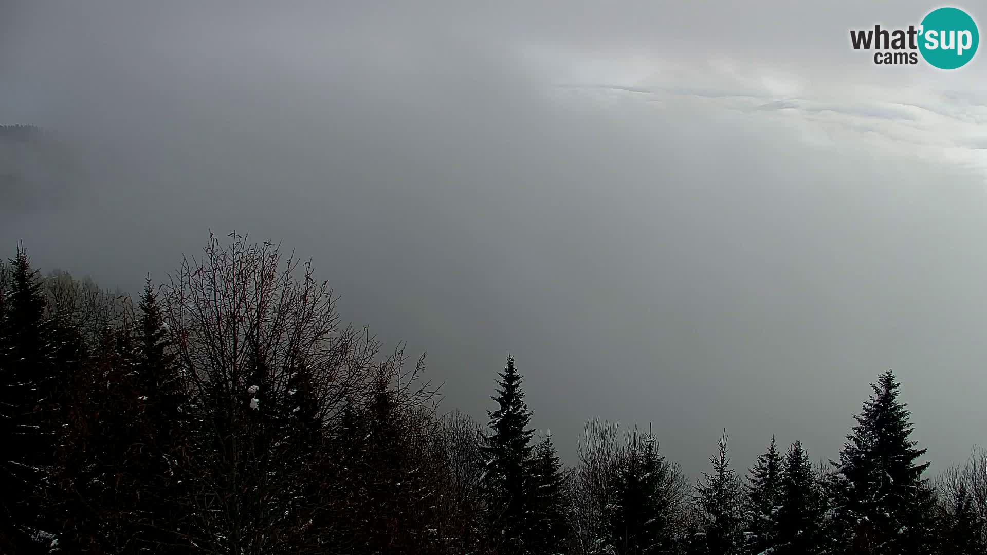 Webcam Kapunar – Radlje ob Dravi