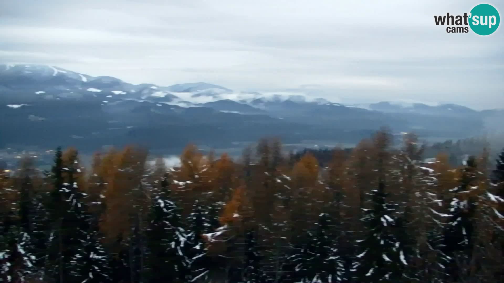 Kapunar Webcam – Radlje ob Dravi