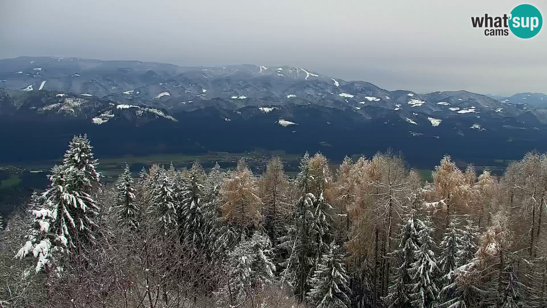 Live cam Kapunar – Radlje ob Dravi