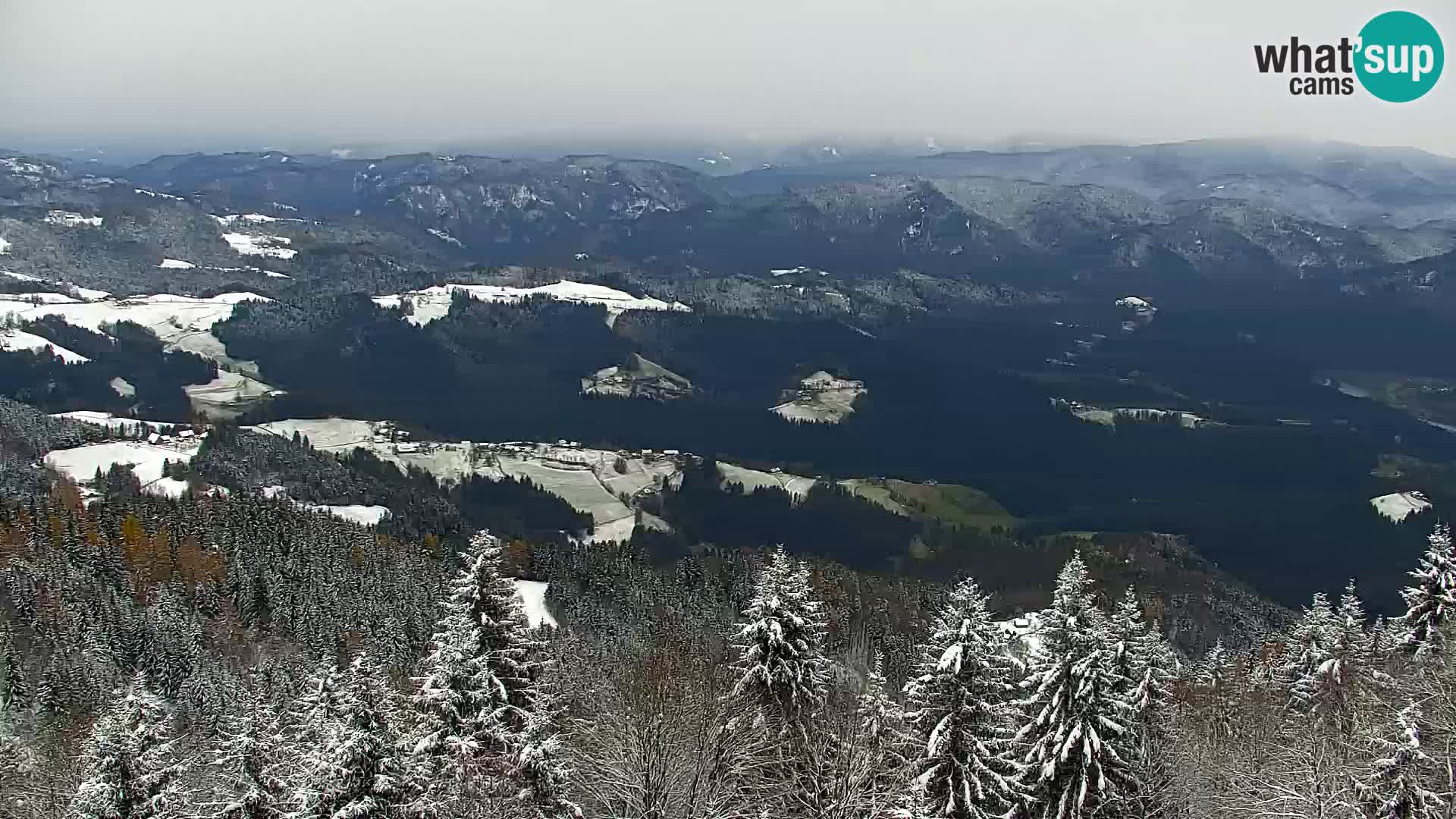 Webcam Kapunar – Radlje ob Dravi