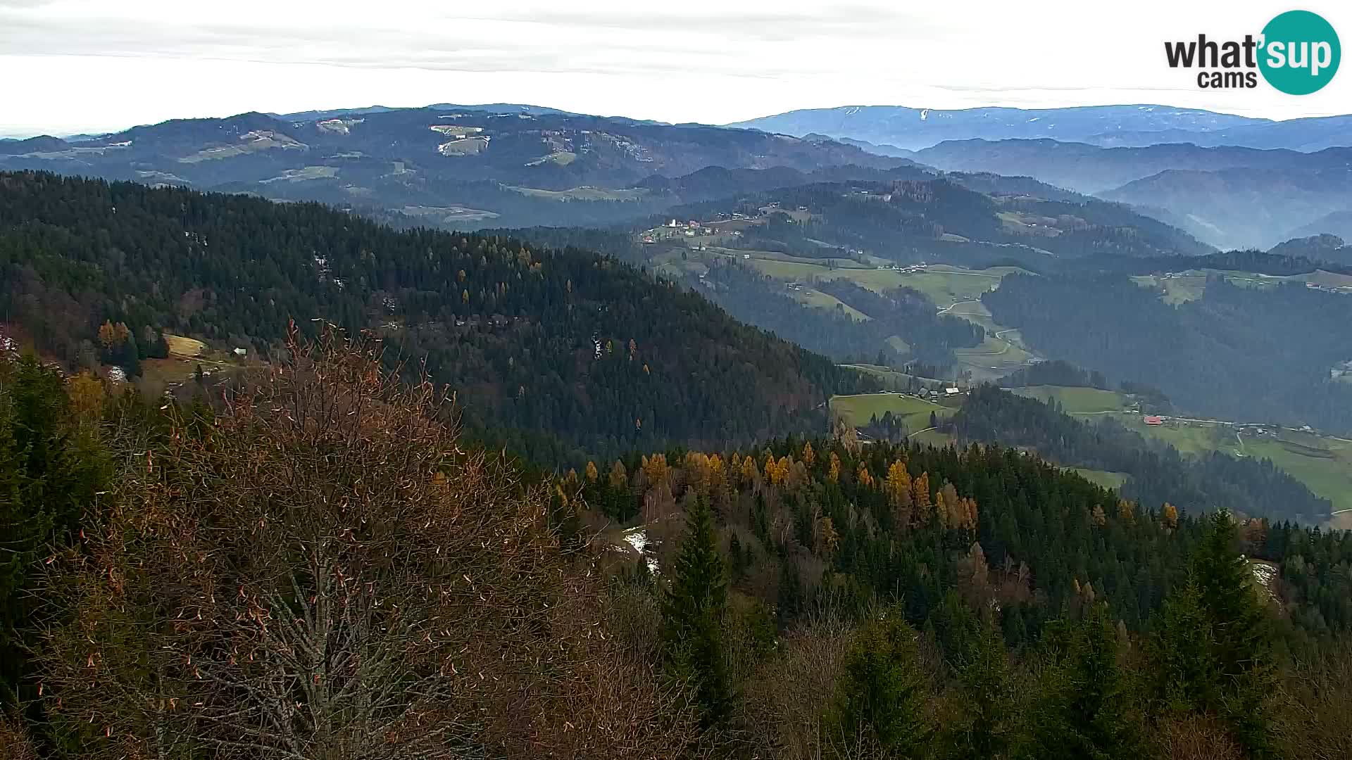 Kapunar Webcam – Radlje ob Dravi