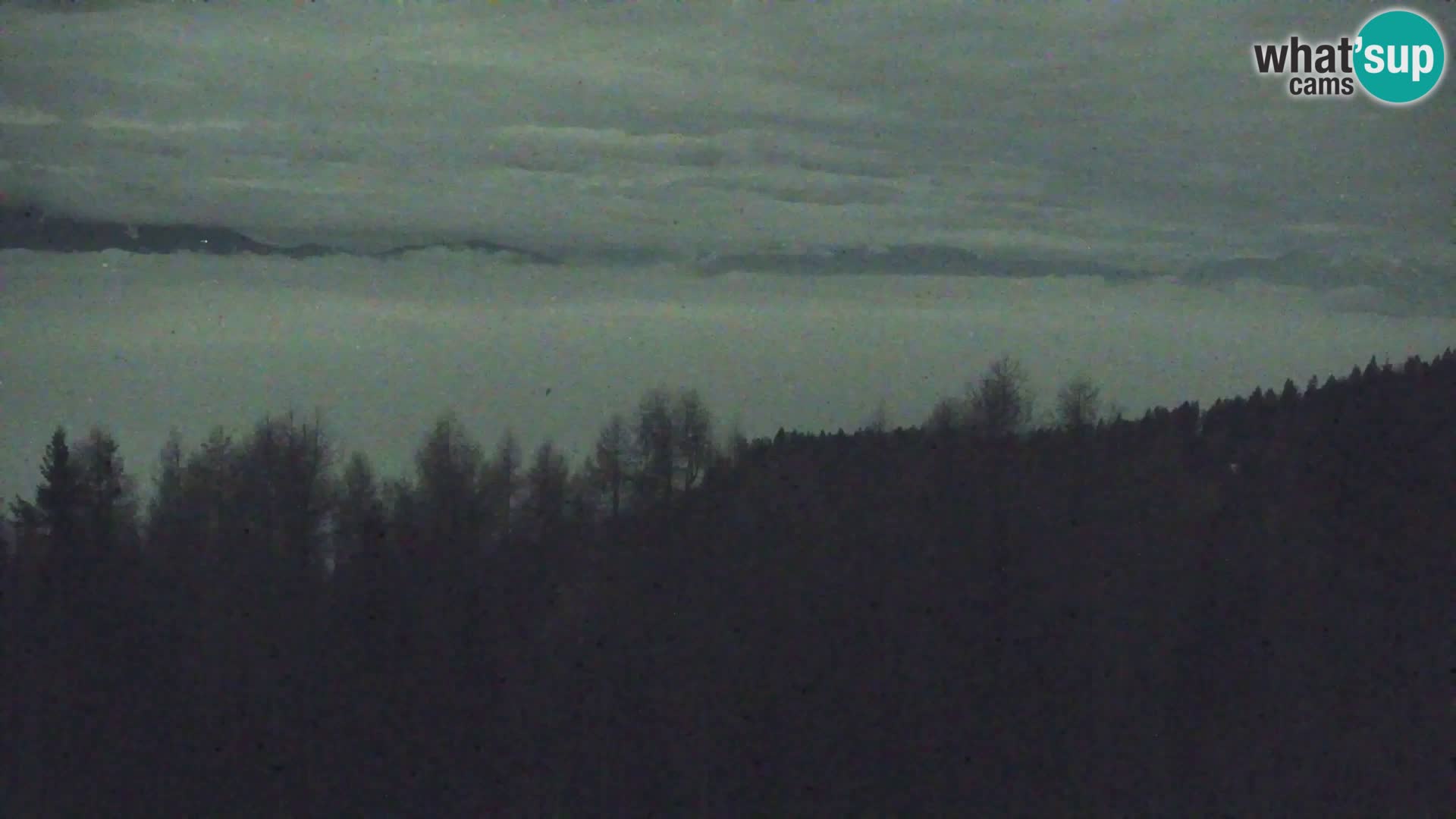 Spletna kamera Kapunar – Radlje ob Dravi