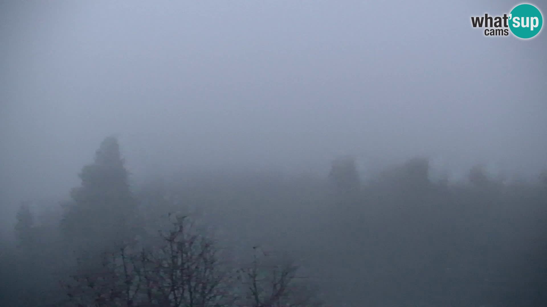 Live cam Kapunar – Radlje ob Dravi