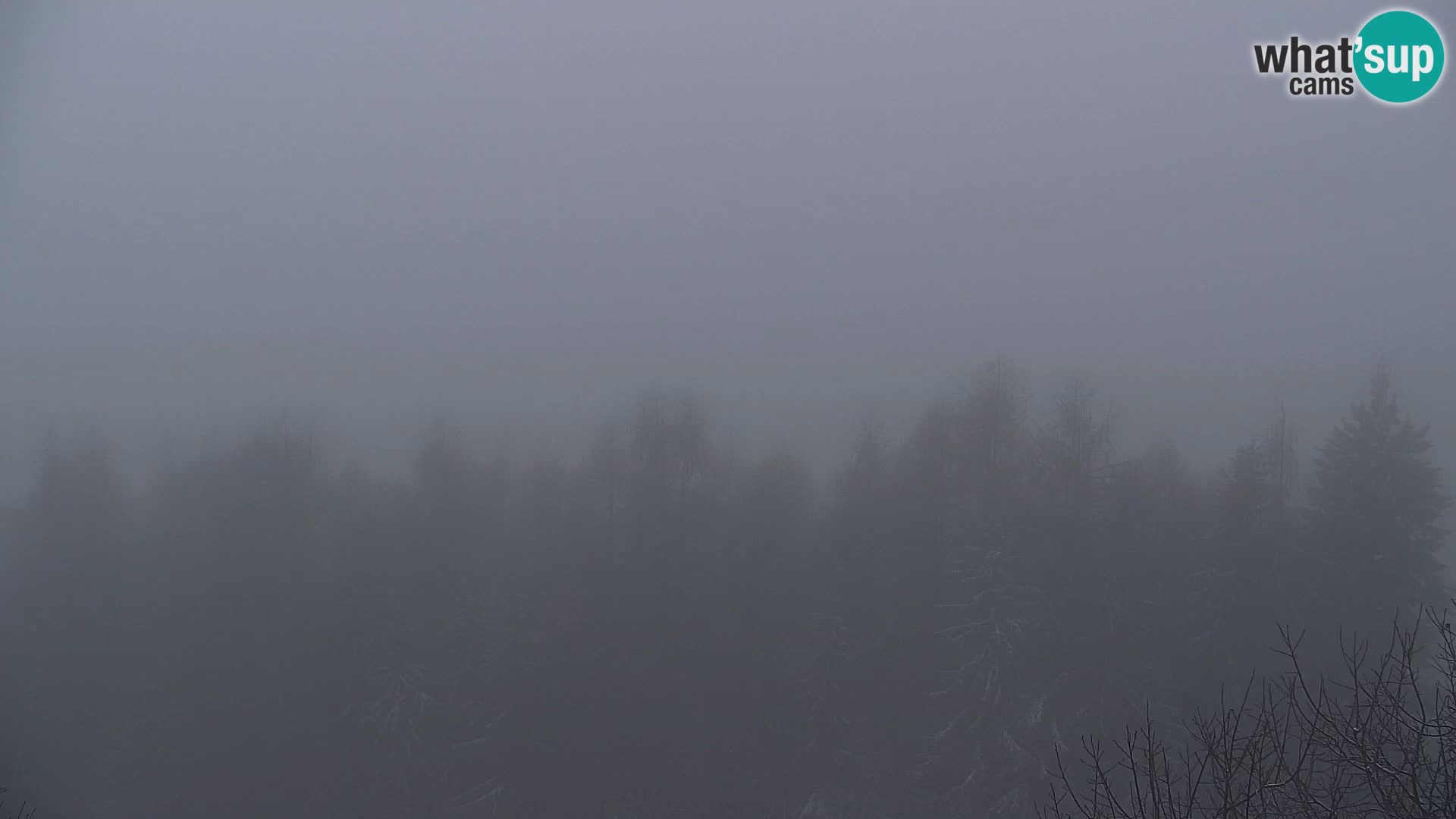 Webcam Kapunar – Radlje ob Dravi