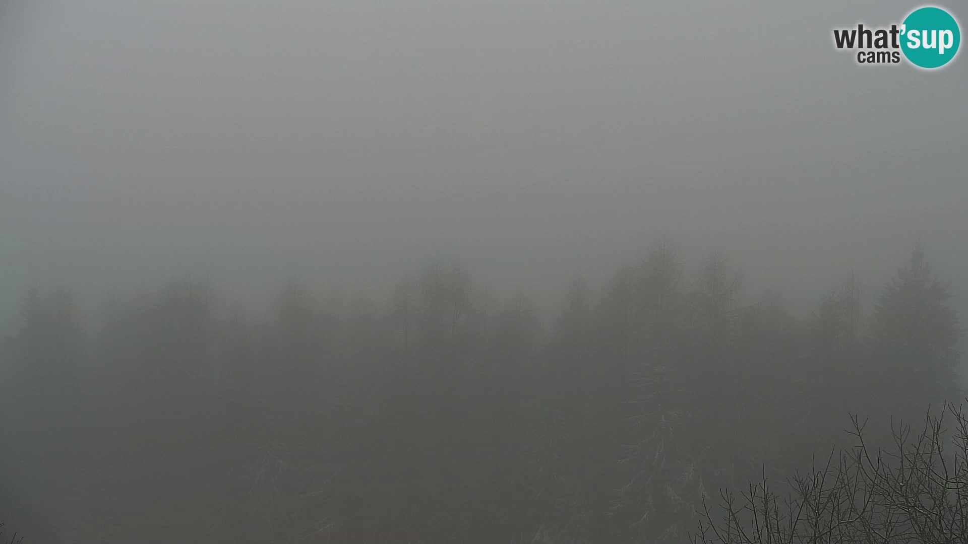 Webcam Kapunar – Radlje ob Dravi