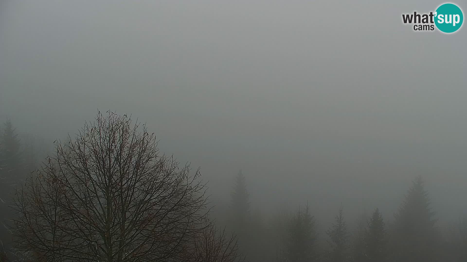 Kapunar Webcam – Radlje ob Dravi