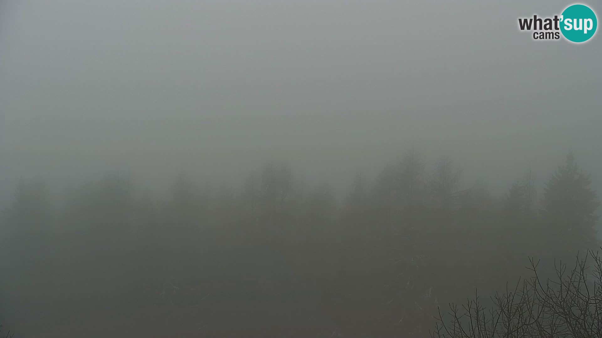 Kapunar Webcam – Radlje ob Dravi