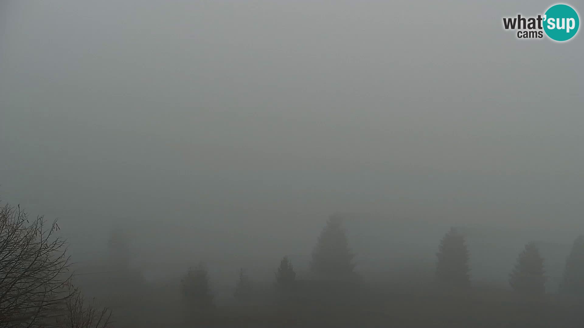 Kapunar Web kamera – Radlje ob Dravi