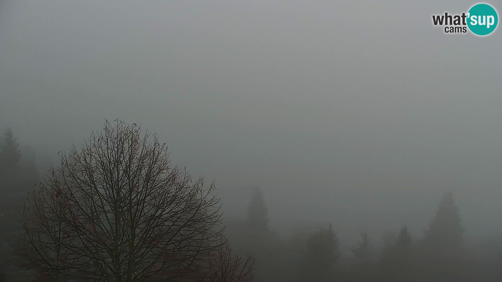 Kapunar Webcam – Radlje ob Dravi