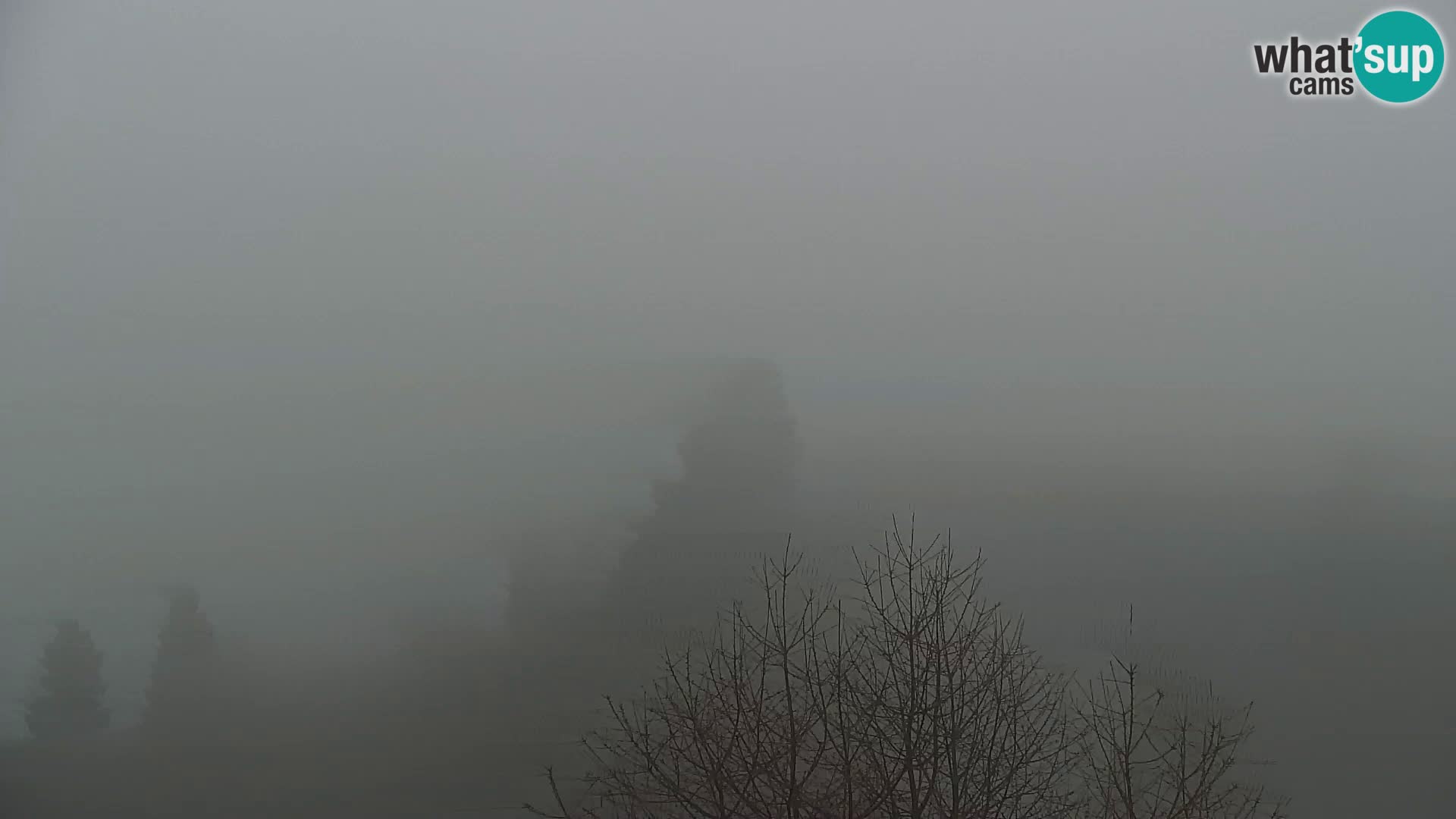 Kapunar Webcam – Radlje ob Dravi