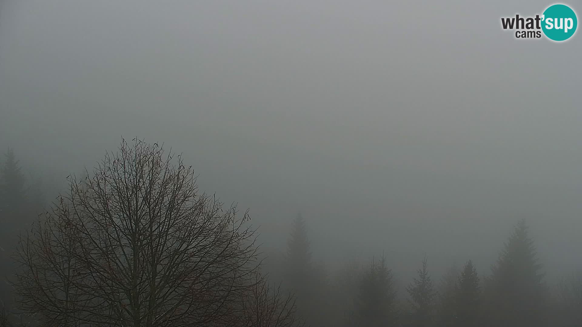 Kapunar Web kamera – Radlje ob Dravi