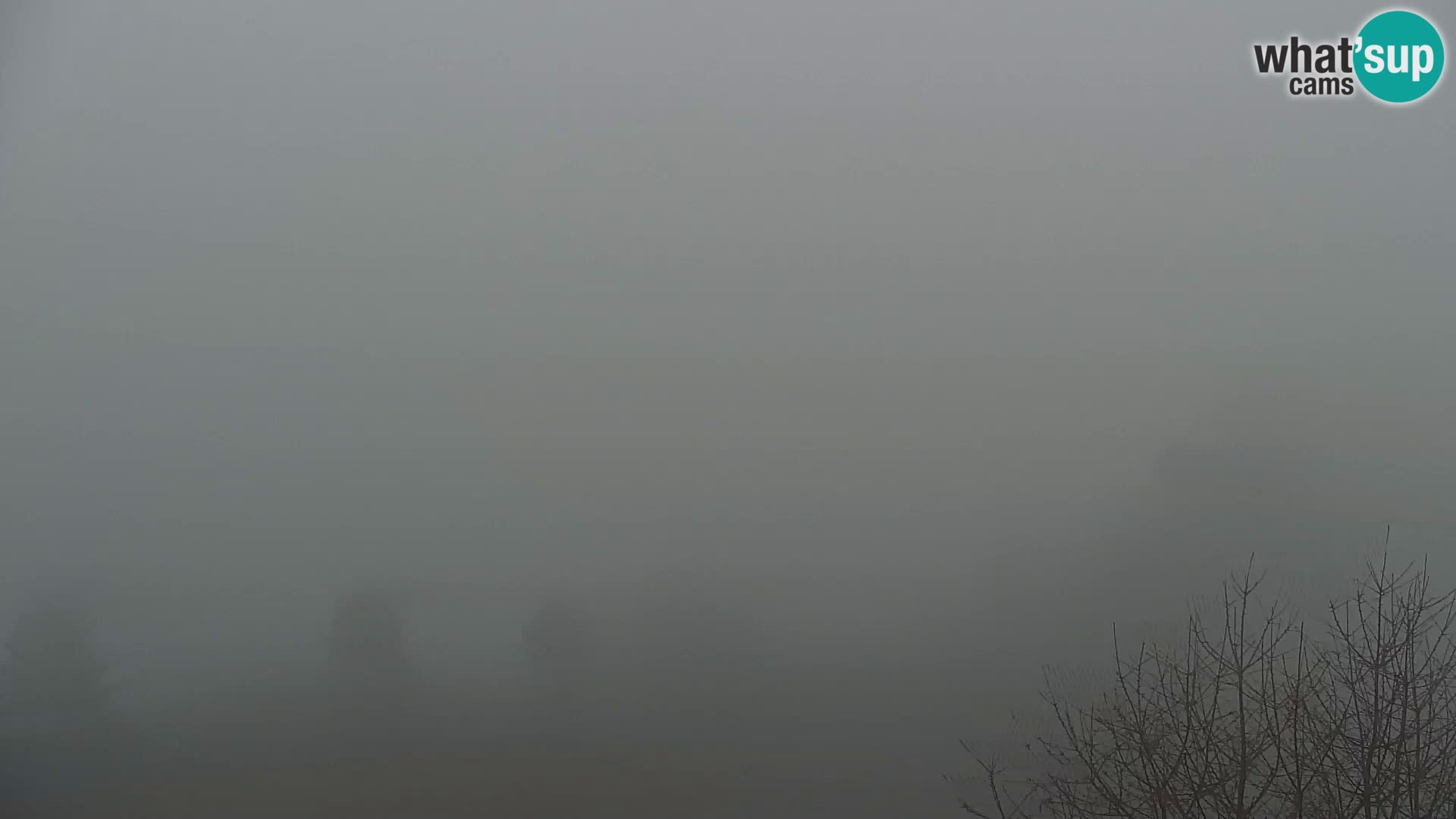 Live cam Kapunar – Radlje ob Dravi