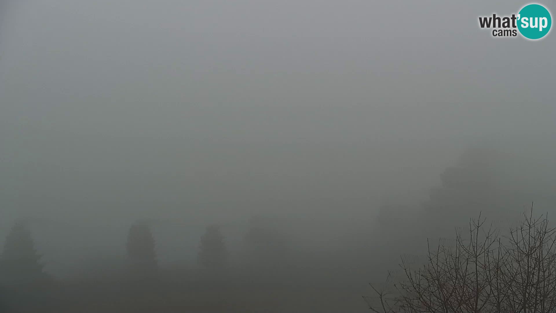 Spletna kamera Kapunar – Radlje ob Dravi