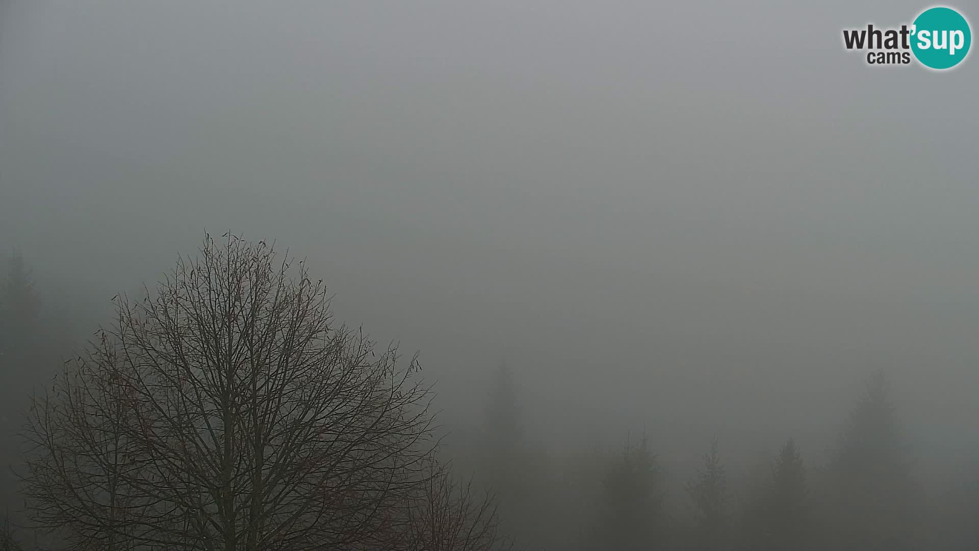 Webcam Kapunar – Radlje ob Dravi