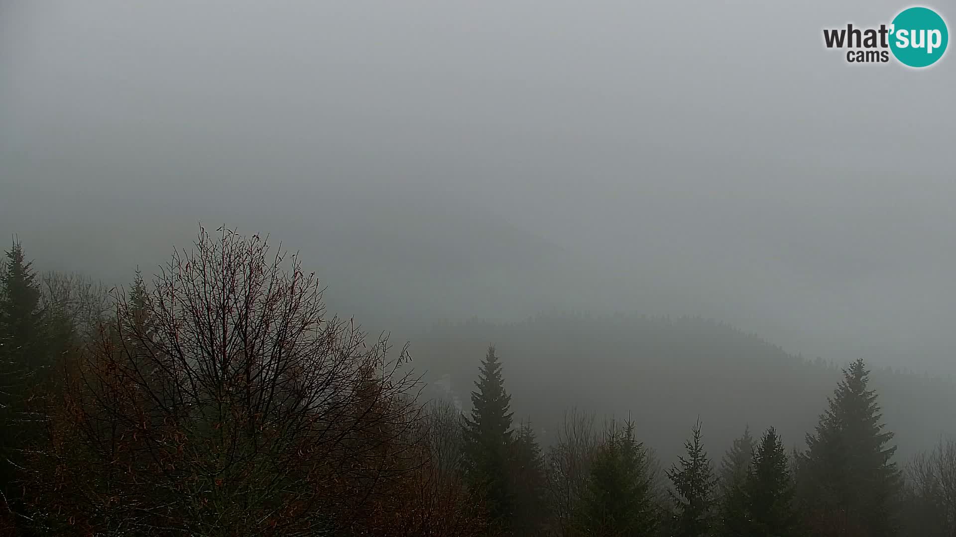 Spletna kamera Kapunar – Radlje ob Dravi