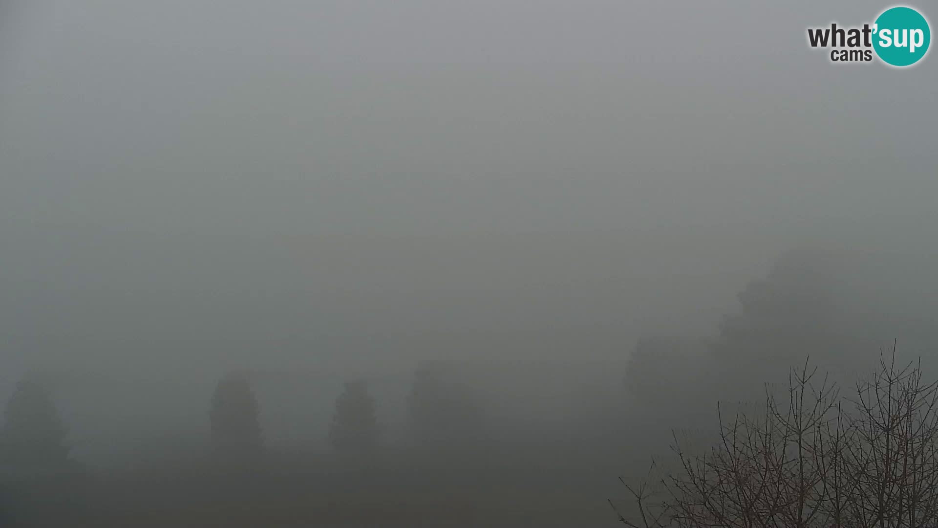 Webcam Kapunar – Radlje ob Dravi