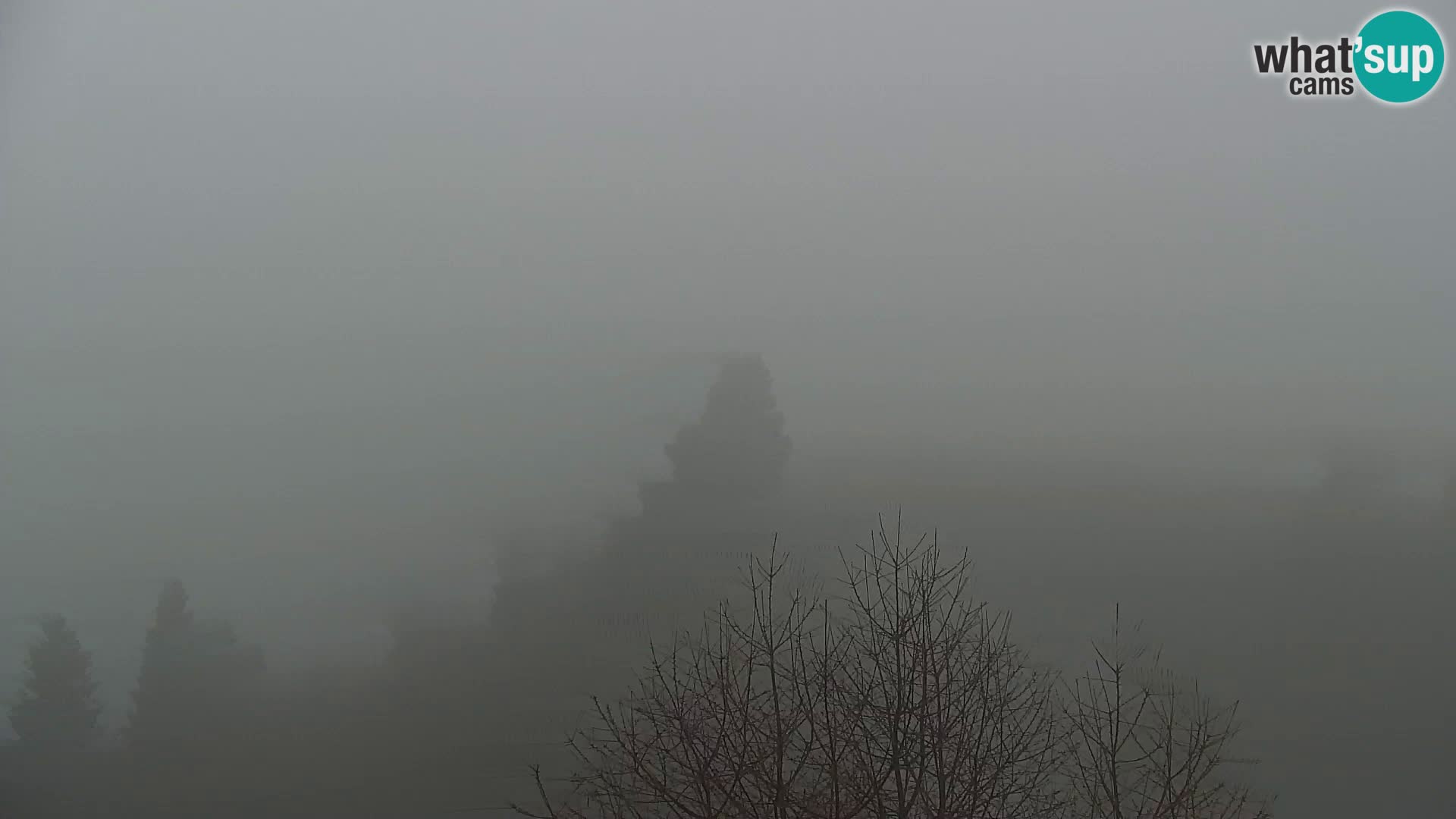 Kapunar Web kamera – Radlje ob Dravi