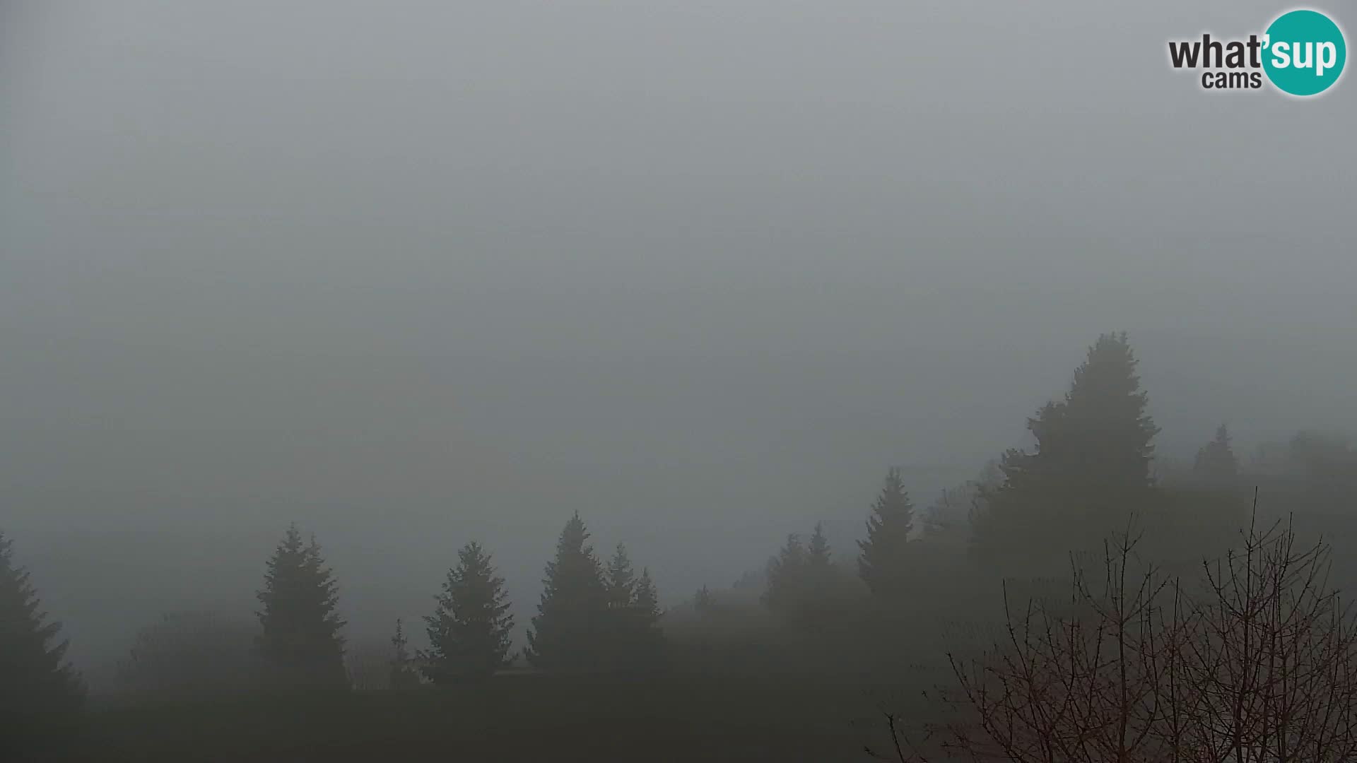 Webcam Kapunar – Radlje ob Dravi