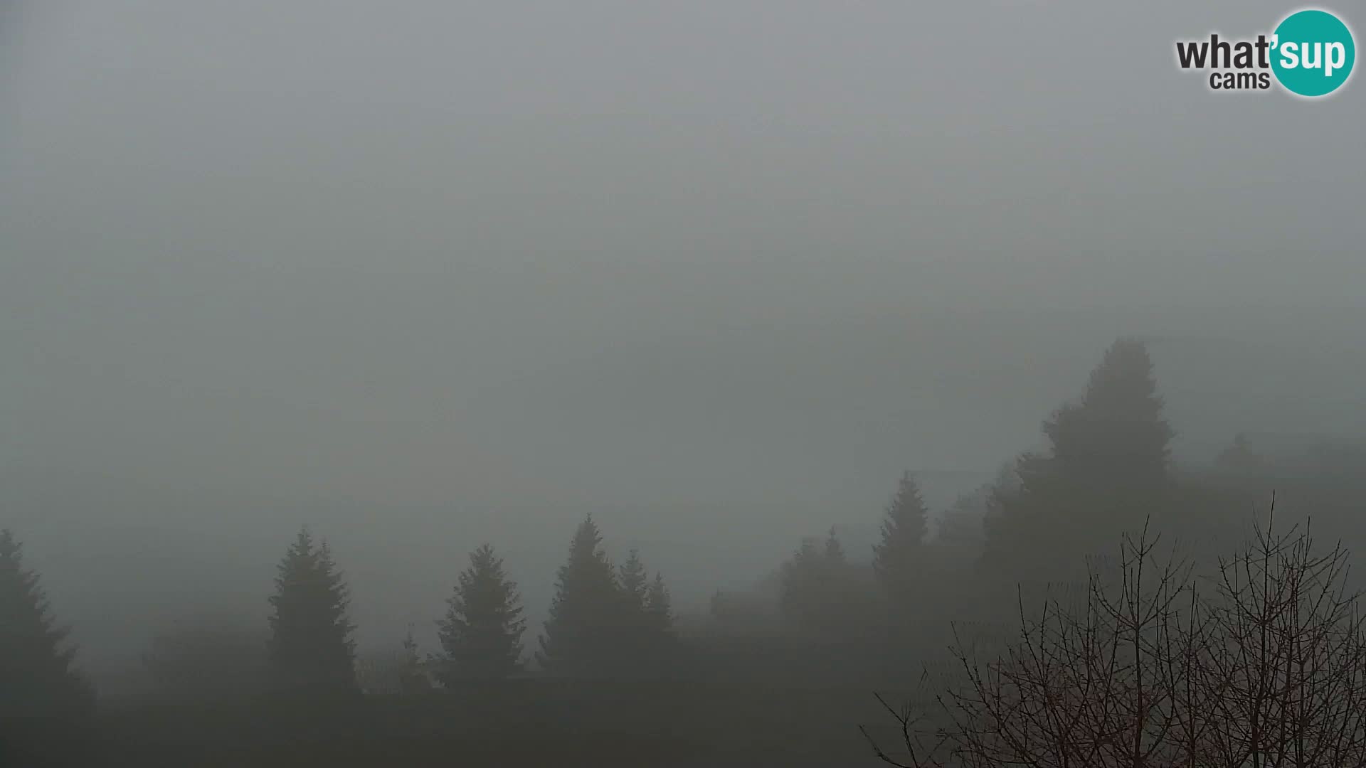 Kapunar Web kamera – Radlje ob Dravi