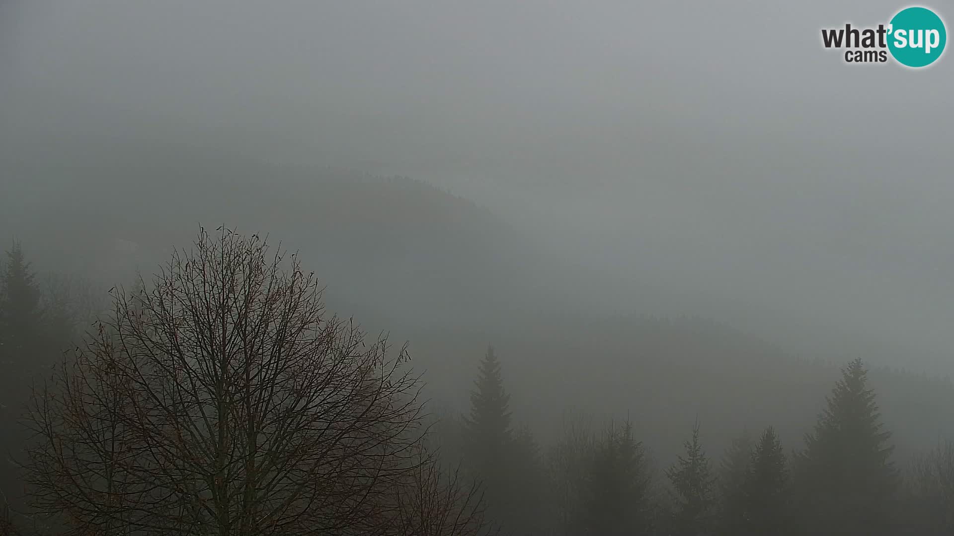 Webcam Kapunar – Radlje ob Dravi